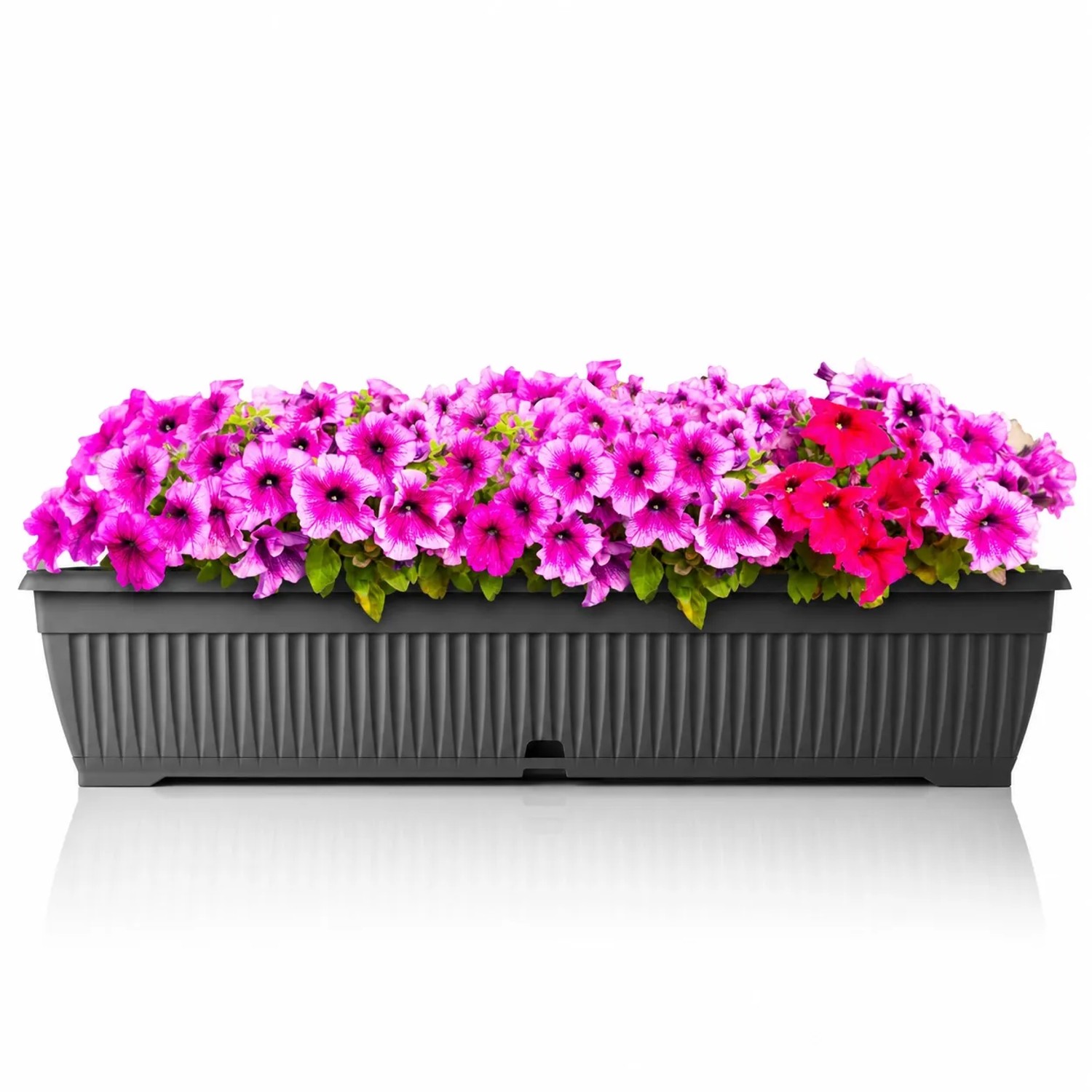 BigDean Blumenkasten 80cm Mit Abnehmbarem Untersetzer Aus Bruchsicherem Kunststoff Balkonkasten Pflanzkasten Mit Wasserspeicher Für Innen Und BigDean Blumenkasten 80 cm mit Untersetzer und Wasserspeicher – bruchsicherer Pflanzkasten für innen und außen – Made in Europe