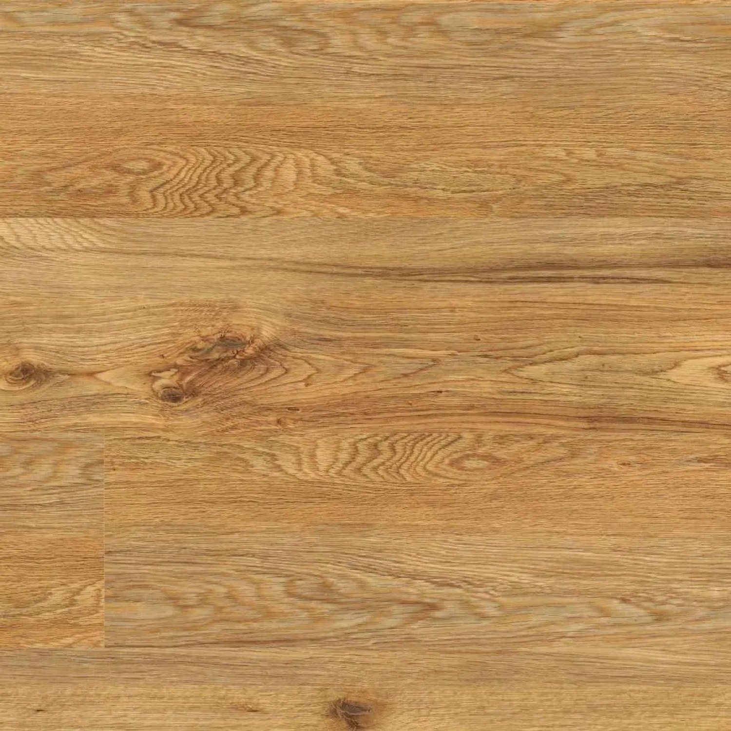 Project Floors Klebe-Vinylboden Work/55 PW 3840/55