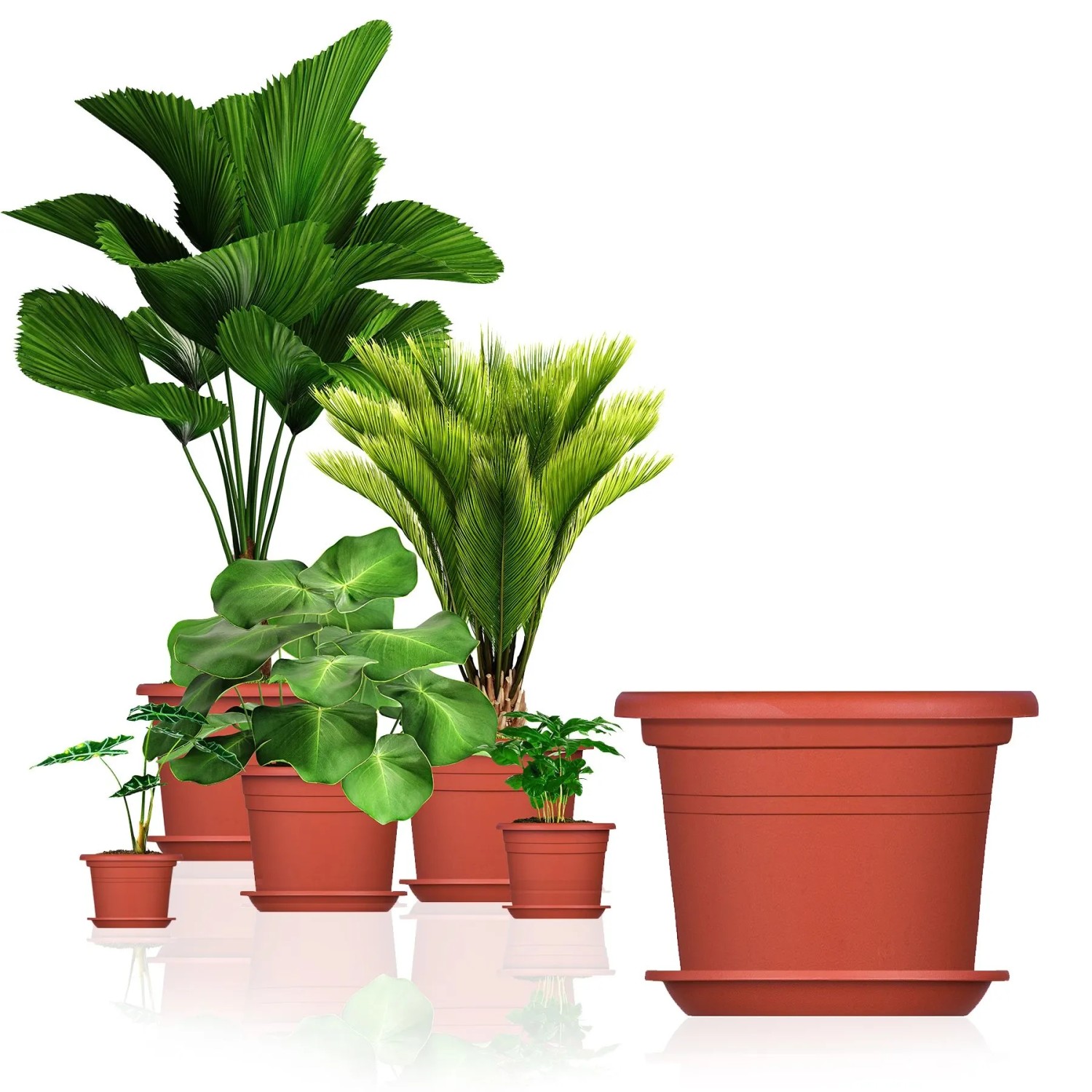 BigDean 5X Blumentopf Ø 25 cm Farbe Terrakotta & Untersetzer Kunststoff Pflanztopf Containertopf Übertopf Pflanzkübel rund 25 x 18 cm Blumentöpfe