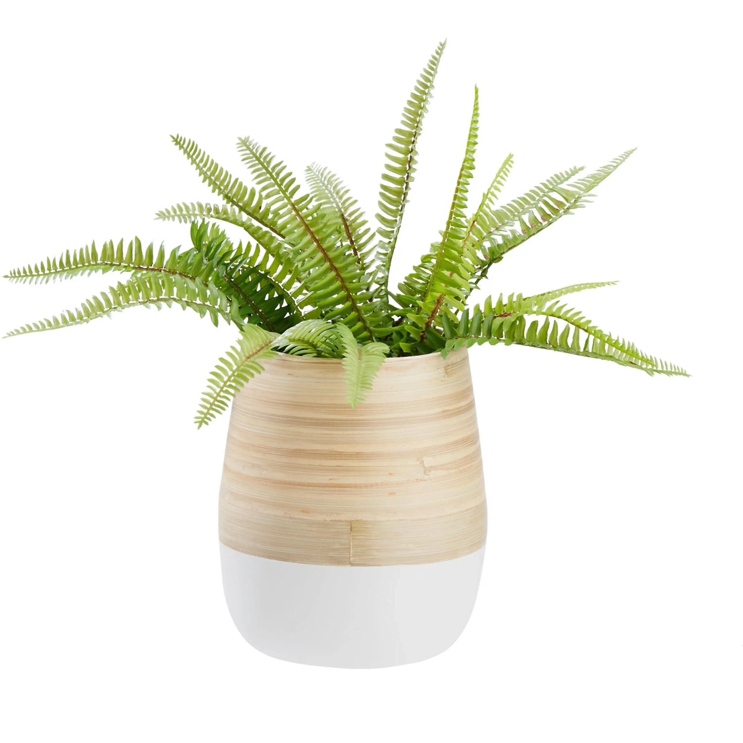 Zandiara Übertopf Naturelle Ø ca. 16cm