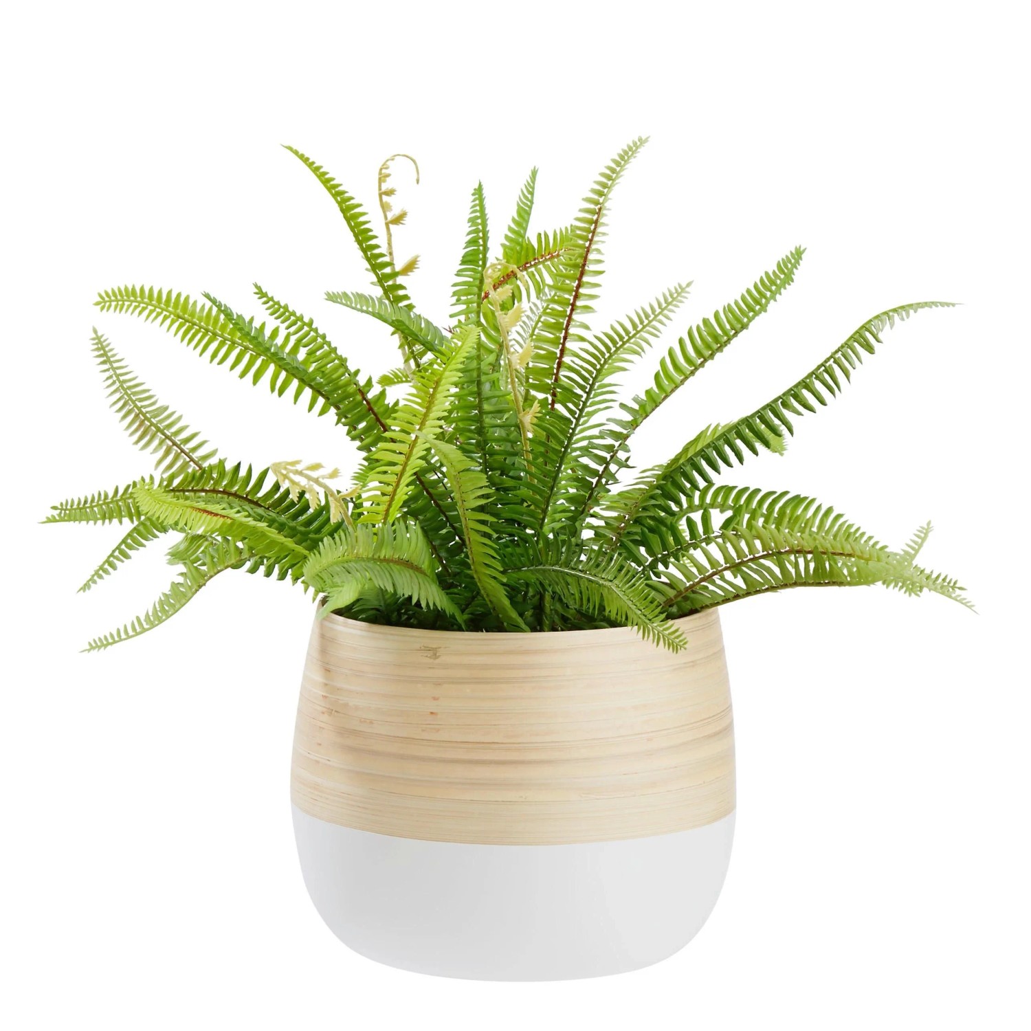 Zandiara Übertopf Naturelle Ø ca. 22cm