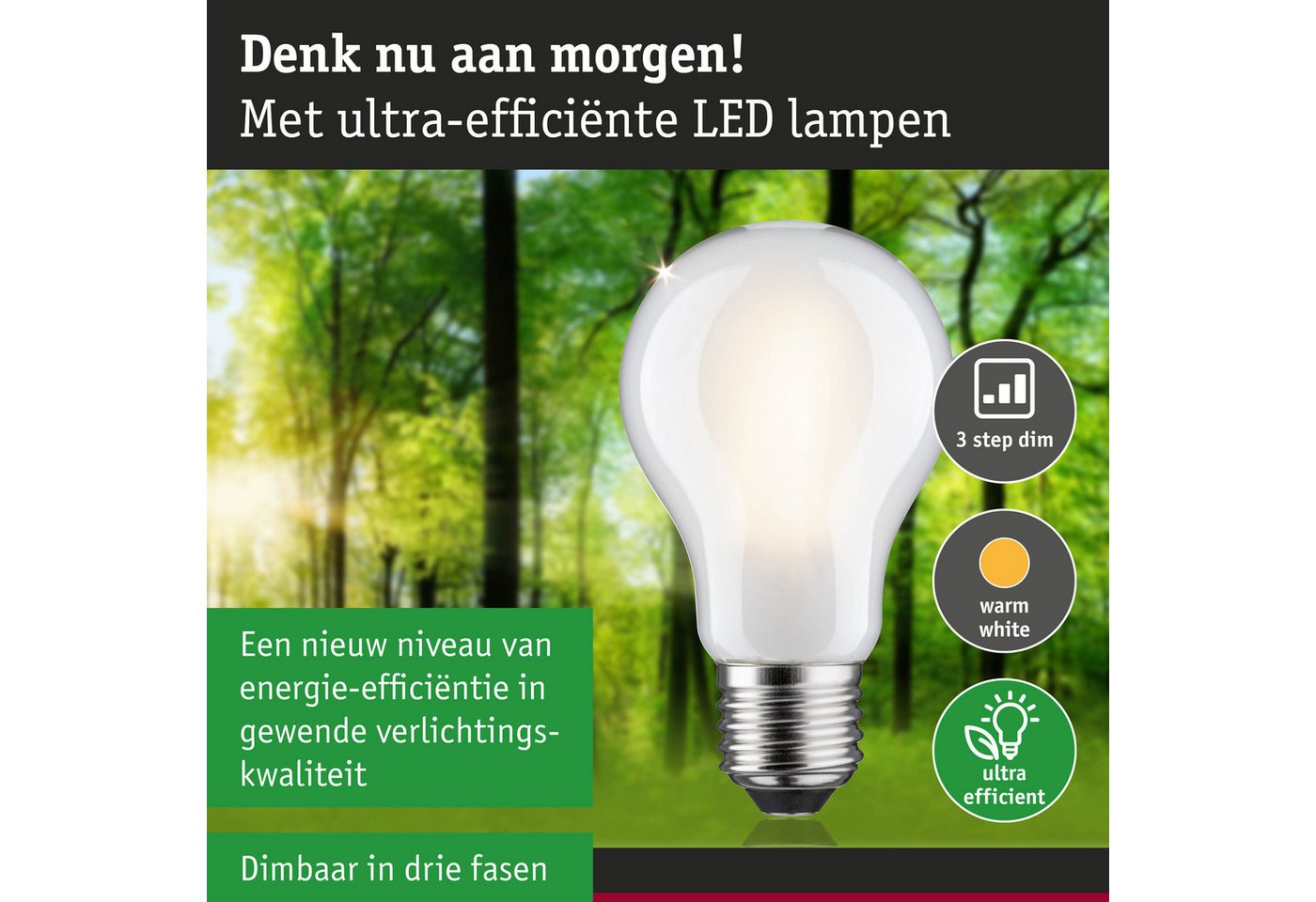 Paulmann LED-Leuchtmittel Eco-Line Filament 230V LED Birne E27 470lm 2,5W 3000K dimmbar Matt, E27, 1 St., Warmweiß Bild 2