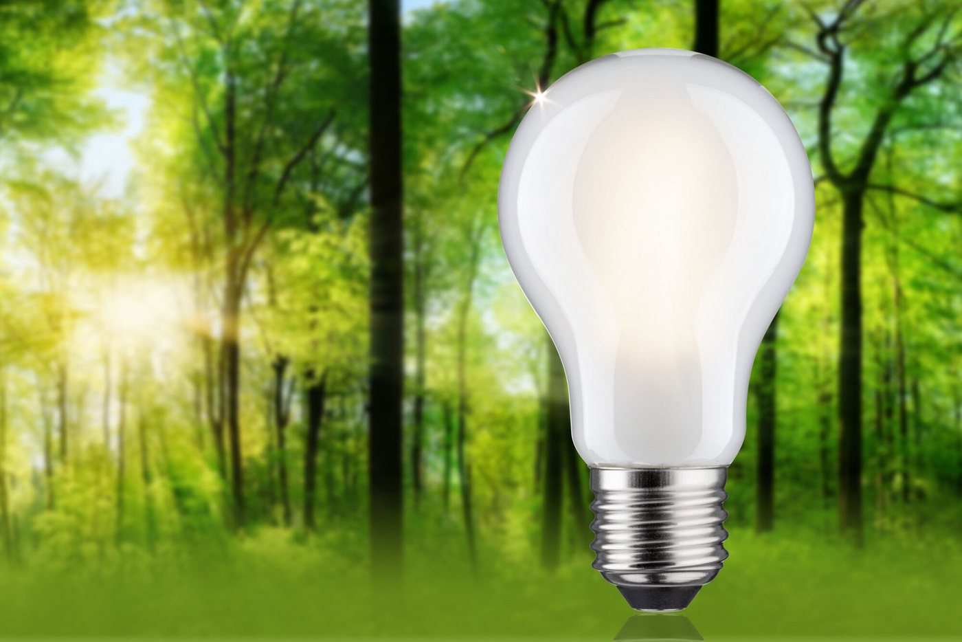 Paulmann LED-Leuchtmittel Eco-Line Filament 230V LED Birne E27 470lm 2,5W 3000K dimmbar Matt, E27, 1 St., Warmweiß Bild 5