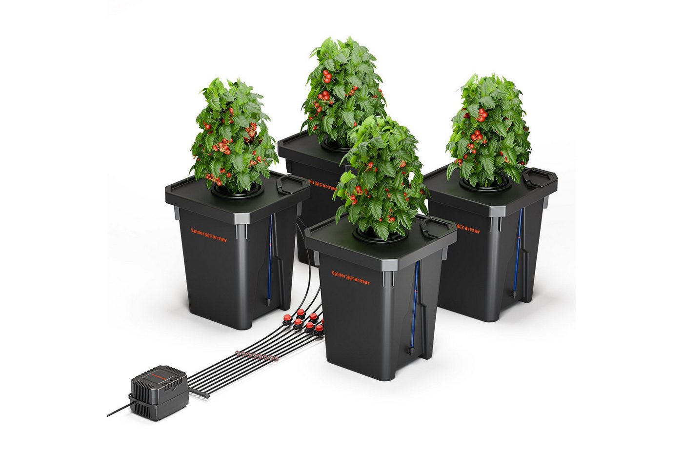 Spider Farmer Bewässerungssystem Spider Farmer Tiefwasserkultur (DWC) Hydroponik-System, (Komplettset inklusive Belüftung und Bewässerung), DWC System mit Top Drip Bewässerung für 4 Pflanzen Bild 5