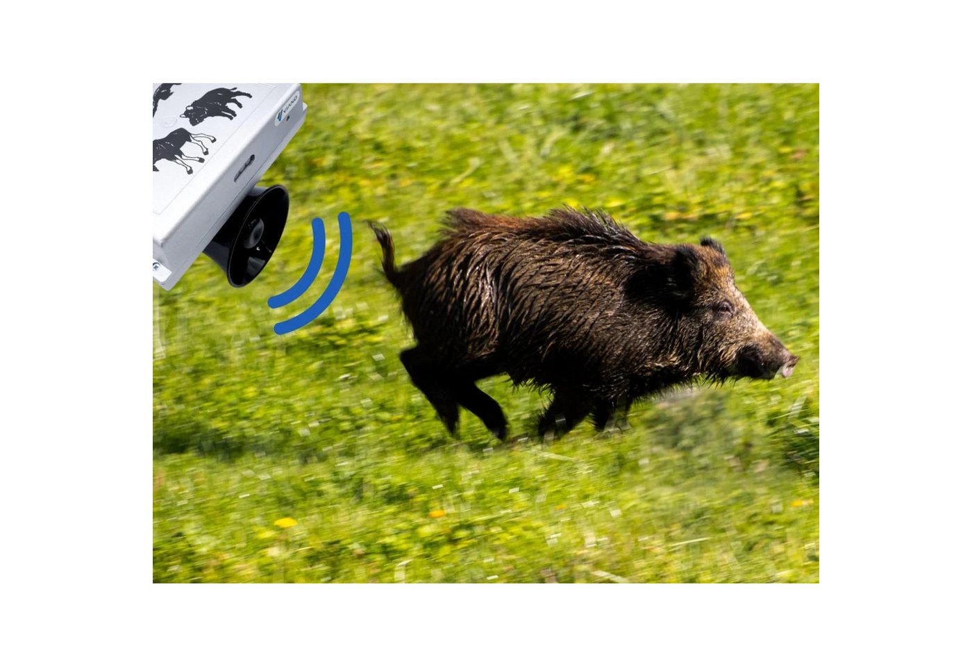Viano Wildwarner OZ1 Abwehrgerät gegen Wildtiere: Wildschweine, Rehe, Vögel, 1-tlg., Abschreckungsgerät - laute und weitreichende Töne Bild 2