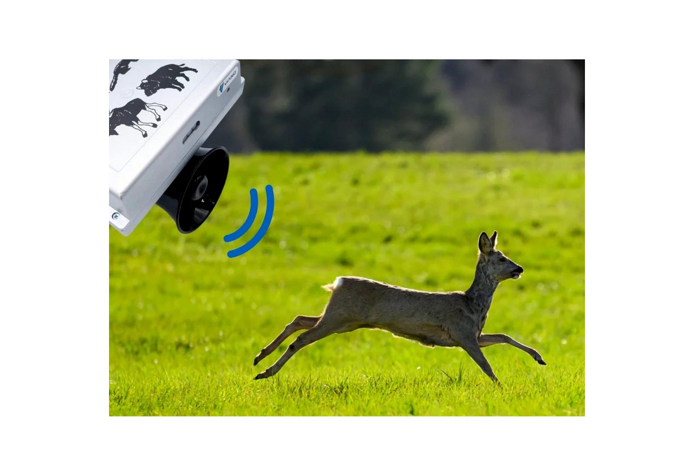Viano Wildwarner OZ1 Abwehrgerät gegen Wildtiere: Wildschweine, Rehe, Vögel, 1-tlg., Abschreckungsgerät - laute und weitreichende Töne Bild 3