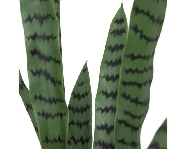 Künstliche Zimmerpflanze Sansevieria toby, 90 cm