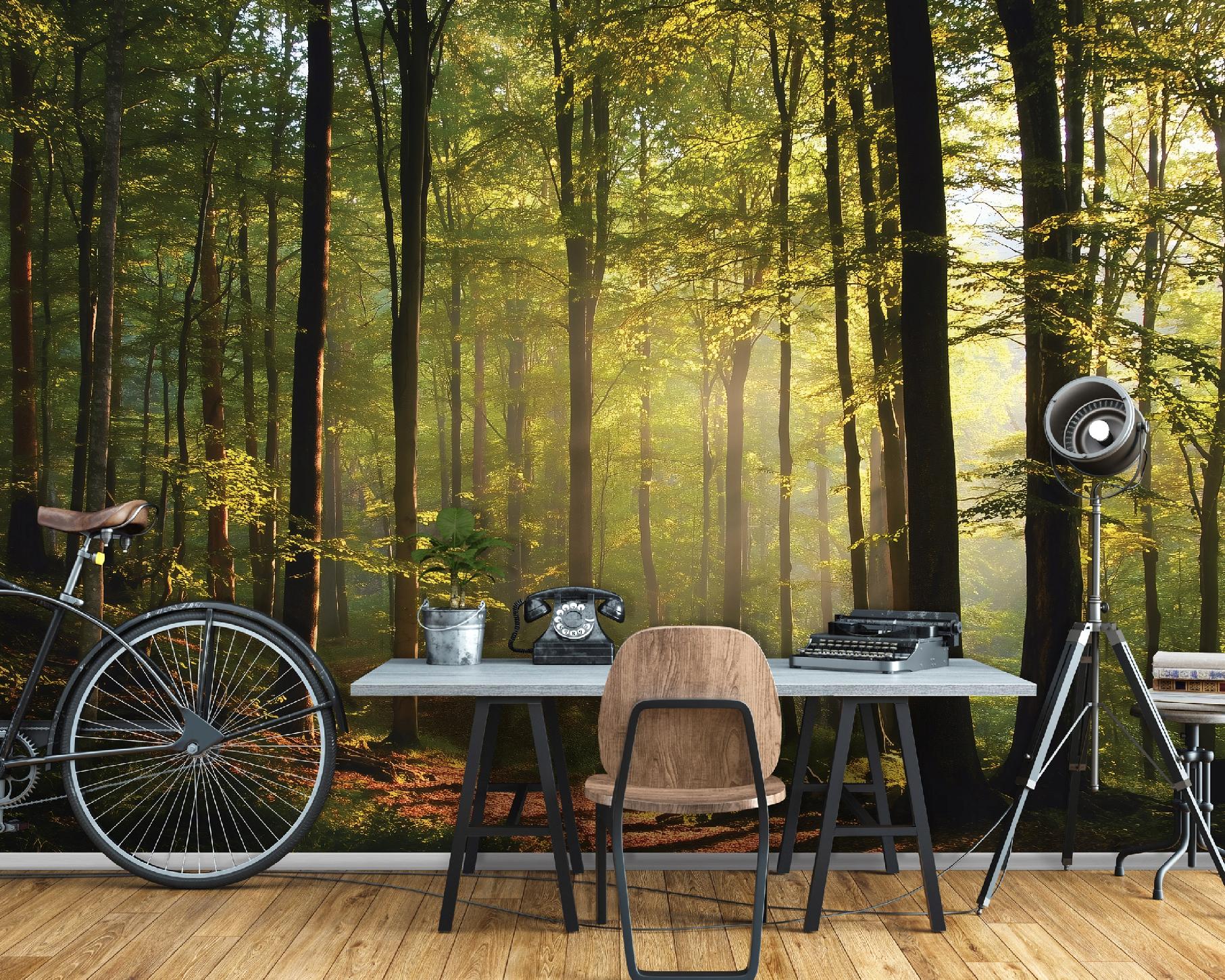 Fototapete Wald Sonnig Bäume Natur, Für Wohnzimmer Und Schlafzimmer, 150 X 105 Cm – Komplettset Inkl. Kleister & Anleitung
