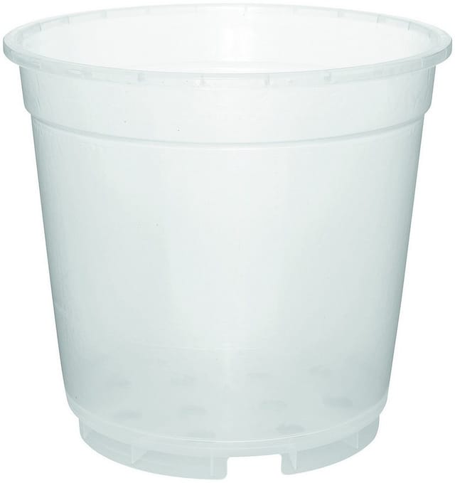 Geli - Orchideentopf ø 19 cm transparent, klar, 3,5 l Blumentopf Kübel Orchideen