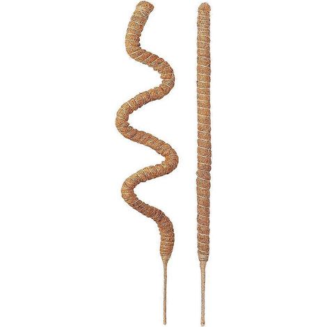 Monstera-pflanzenstütze, Mit Moos Bedeckt, Flexible Zimmerpflanzenstütze, Kletterpflanzenstütze (2er-set)