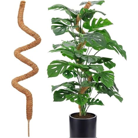120 Cm Lange Schaumstoff-pflanzenstütze Mit Flexiblen Stielen, Ideal Für Kletterpflanzen Wie Monstera Deliciosa Und Efeu, 1 Stück