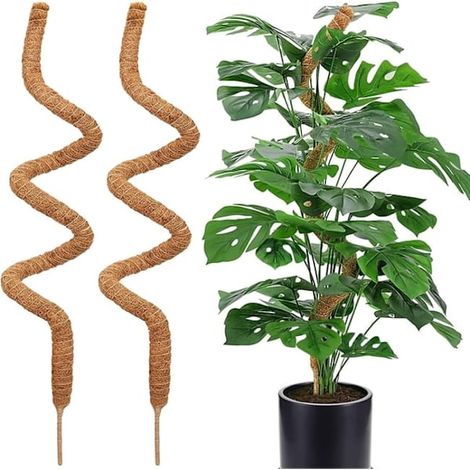 120 Cm Moos-kletterpflanzenstütze, Flexible Moosstängel, Geeignet Für Kletterpflanzen Wie Monstera Deliciosa Und Efeu, 2er-set.