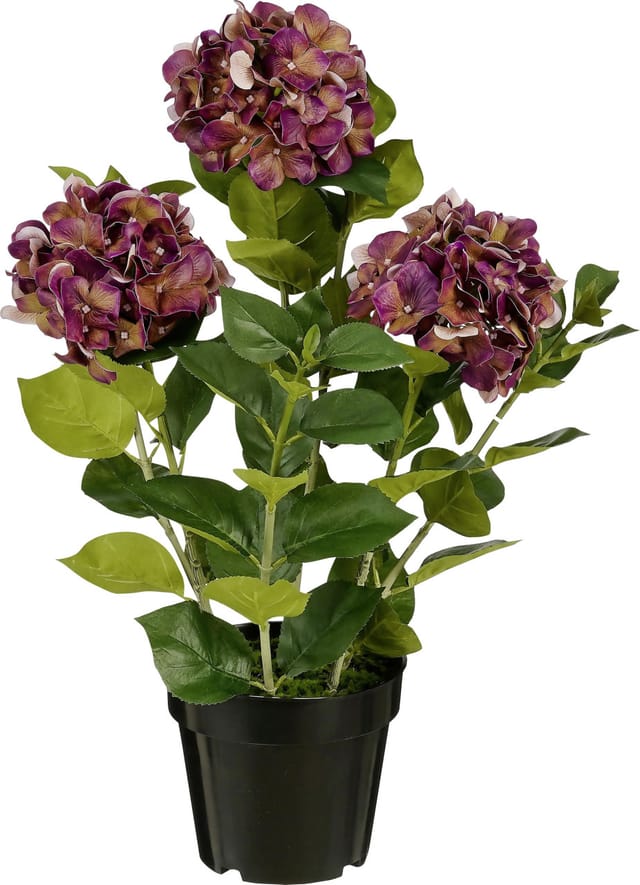 Mica Decorations Kunstpflanze Hortensie im Topf violett Ø 40 x 65 cm Pflanze