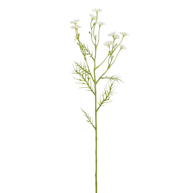 Mica Decorations Kunstpflanze Margerite creme 71 cm Pflanze