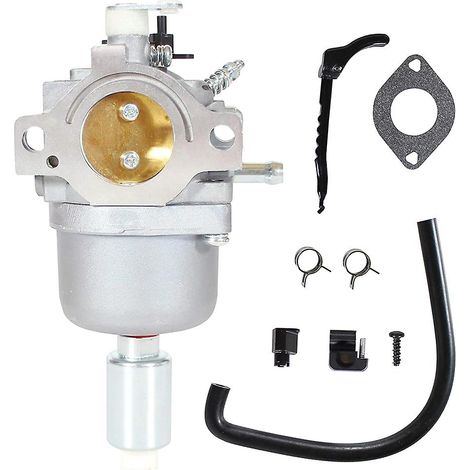 Vergaser – Für Briggs & Stratton Motoren – Kompatibel Mit Den Modellen 795366, 594601, 695353, 697216 Und 698945 – Ersatzteil ×1