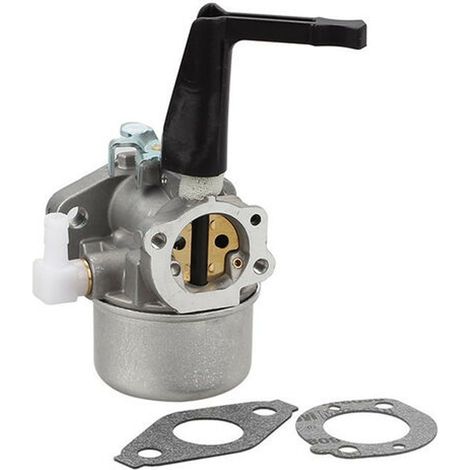 Ersatzvergaser – Für Briggs & Stratton Motoren 696065 697422 – 5 Ps, 6 Ps – Inklusive Dichtungssatz