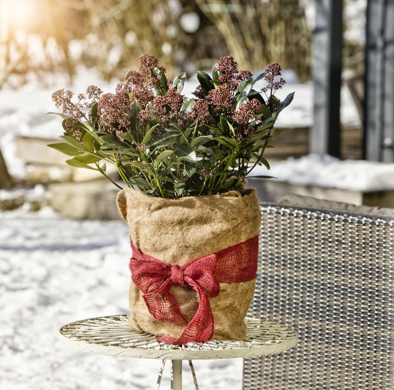 Windhager Winterschutz für Pflanzen Jute 0,5 x 4 m natur Schutzvlies Bild 2