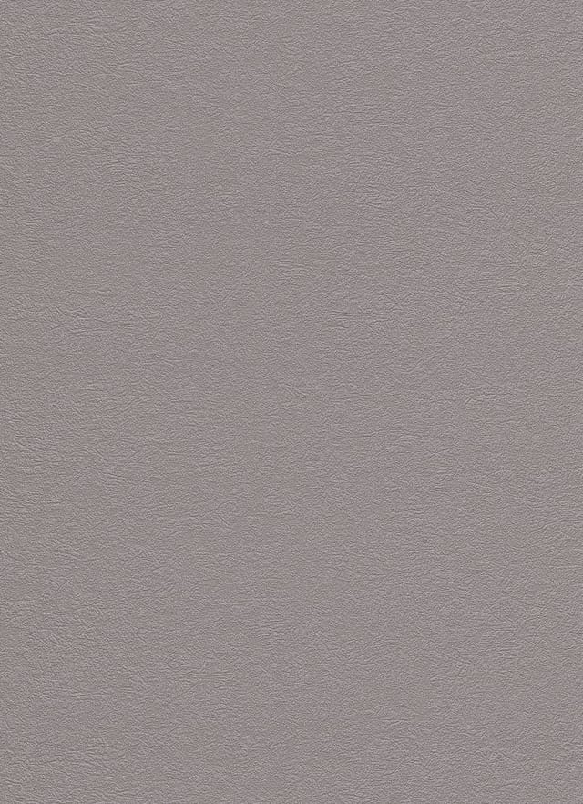 Erismann Vinyltapete 9733-37 Putzstruktur taupe 10,05 x 0,53 m Wandtapete