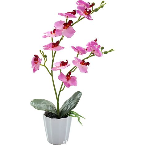 Künstliche Phalaenopsis-blume – Dekorativer Bonsai Fürs Büro – Künstliche Grünpflanze – Pflegeleicht – 1 Stück
