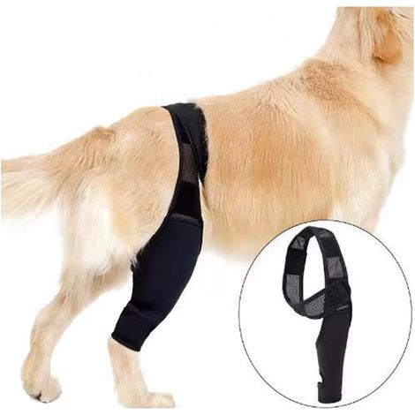 Kniebandage Für Hunde – Neopren-gelenkstützschiene – Bei Patellaluxation Und Nach Verletzungen – Größen S Bis Xl