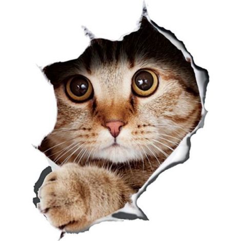 Autoaufkleber – 3d-katzenaufkleber – Pvc – 21 X 29 Cm – Weiß