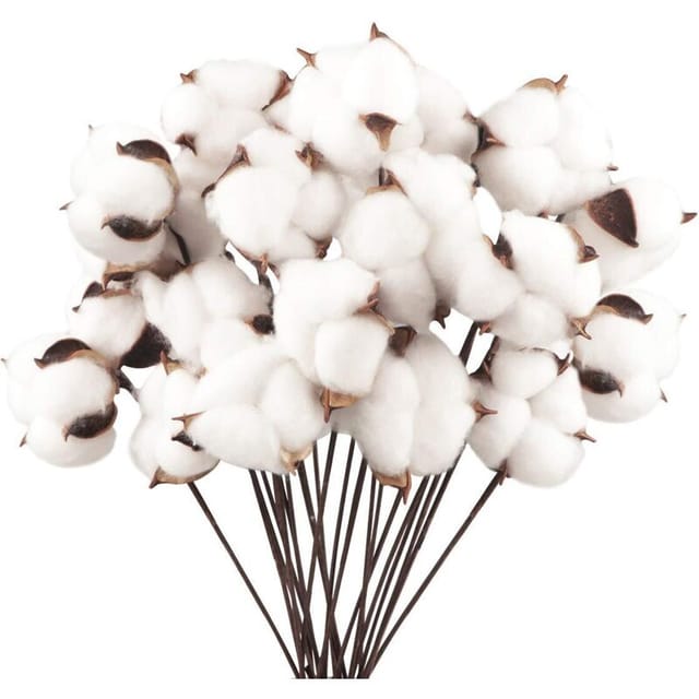 Set Mit 20 Getrockneten Baumwollblumen, Künstlichen Stielen, Dekorativen Zweigen Für Balkon, Wohnung, Tisch, Blumenarrangement