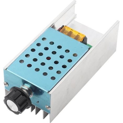 Spannungsregler – 6000 W – 220 V Wechselstrom – Für Ohmsche Lasten – 1 Stück
