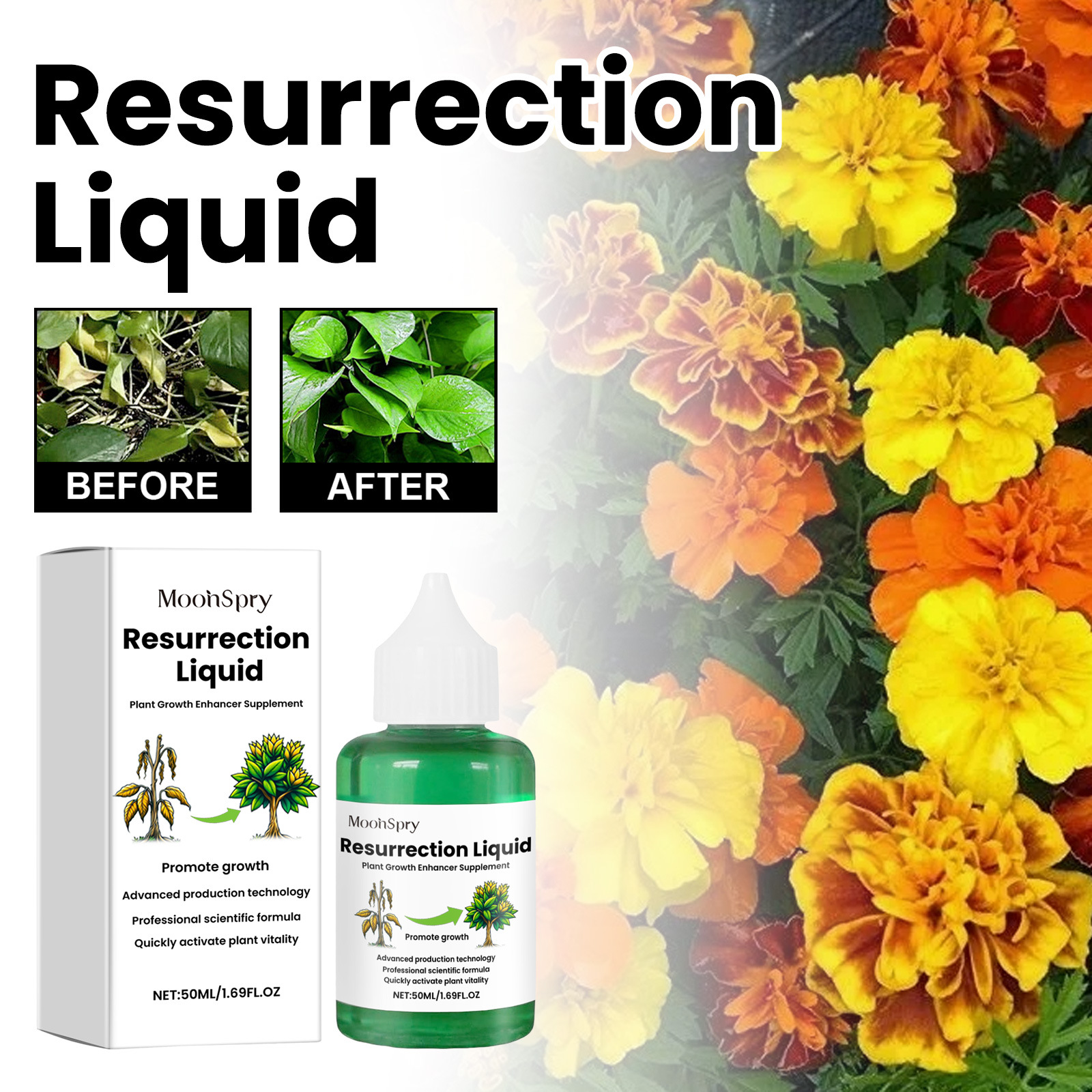 Pflanzenerneuerungs-flüssigkeit – Wurzelschutz- Und Nährstofflösung Für Blumen, Kräuter, Obstbäume Und Grünpflanzen – 50 Ml -- Biemmedue