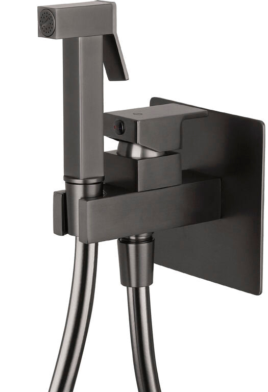 Armatur Serie Orion Für Unterputz-bidet Titan