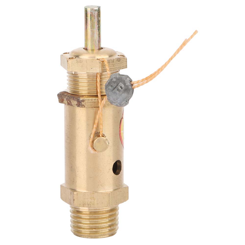 Soupape De Sécurité De Décharge De Pression Pour Compresseur D'Air G1/4 Pour Générateur De Vapeur De Chaudière (5 Kg)