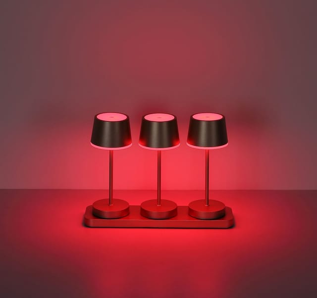 3x Rgbw Led Tischlampen Touchdimmer Champagner Feuer-effekt Fernbedienung Ip54