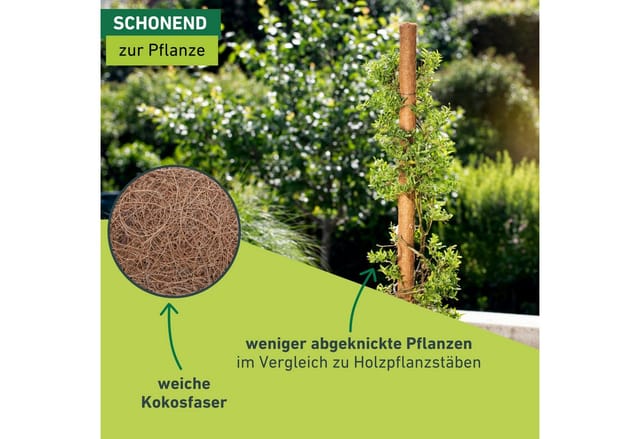 Pflanzstäbe Kokos
