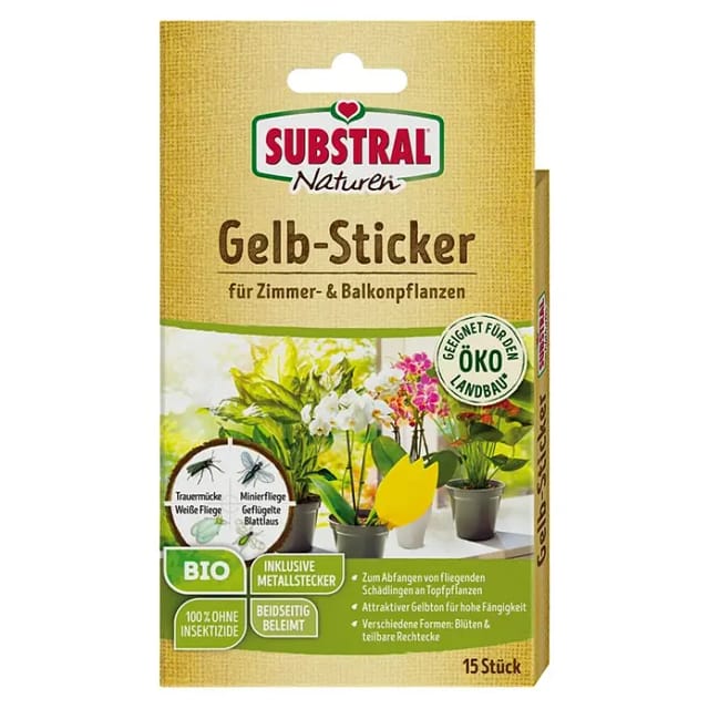 Gelbstecker