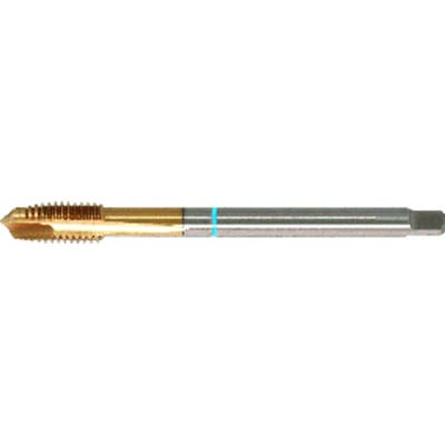 Maschinengewindebohrer DIN376 HSSE-PM TiN Typ INOX Form B M20 GÜ
