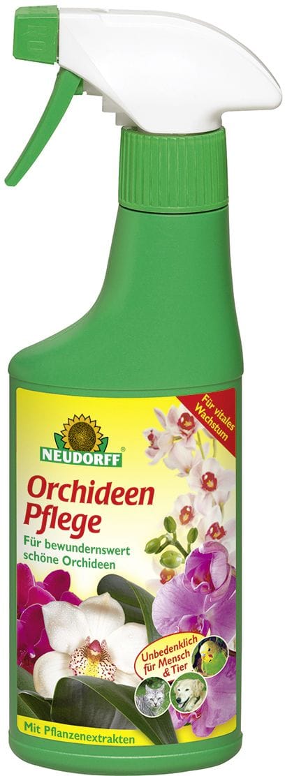 Orchideen Pflege