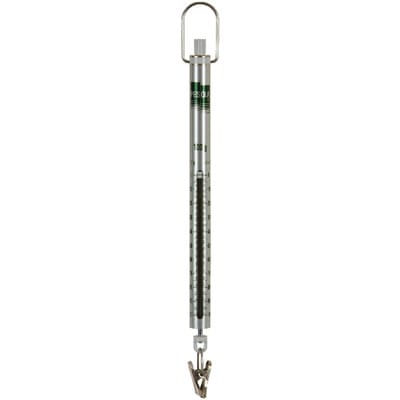 Federwaage Micro 100g PESOLA