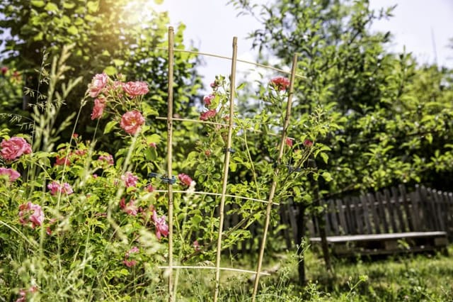 Blumenstütze Bambus