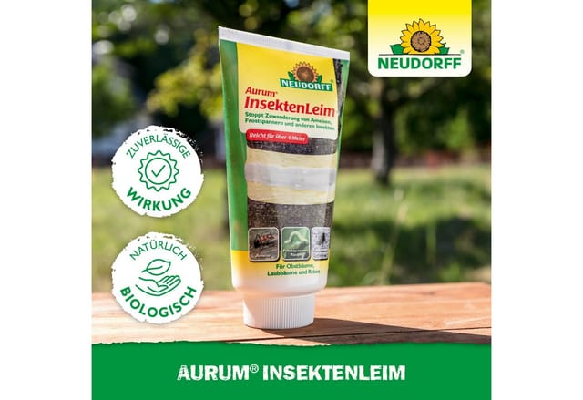 Aurum InsektenLeim