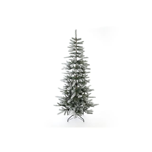 Weihnachtsbaum Cedar Kiefer Frost
