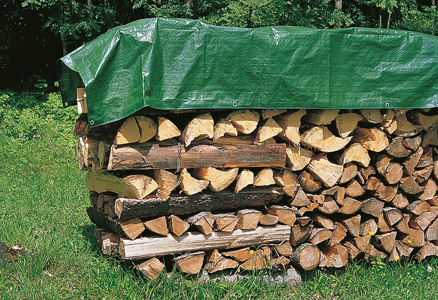 Schutz-Plane Bild 3