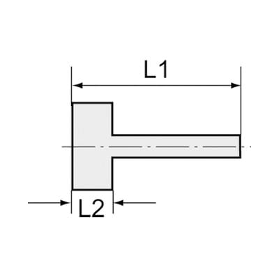 Aufschraubschlauchtülle Messing, IG G3/8", LW 8 SW 19mm RIEGLER
