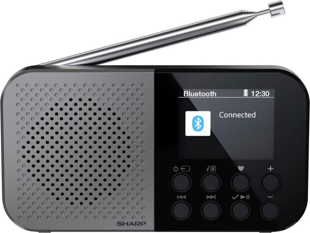 SHARP Digitalradio-tragbar DR-P520, schwarz, DAB+, Bluetooth, USB-C