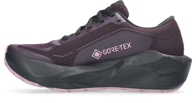Asics NOVABLAST 6 GORE-TEX® Laufschuh GORE-TEX®, für mehr Grip und wasserdicht