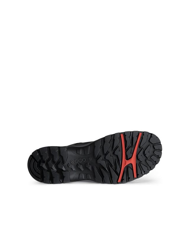Ecco ECCO RECEPTOR TREKK Outdoorschuh Wanderschuh, Halbschuh, Schnürschuh mit waterproof