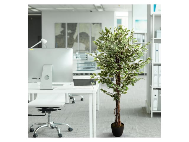 hjh OFFICE Kunstpflanze FICUS Kunststoff, Stoff