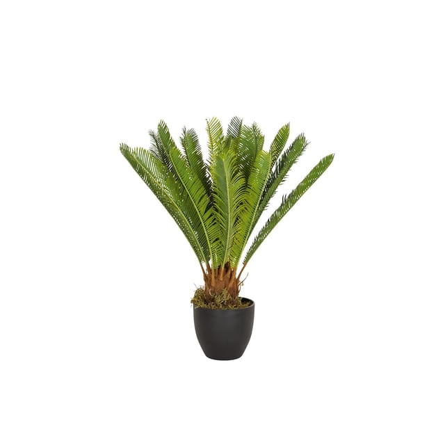 hjh OFFICE Kunstpflanze CYCAS Kunststoff, Stoff