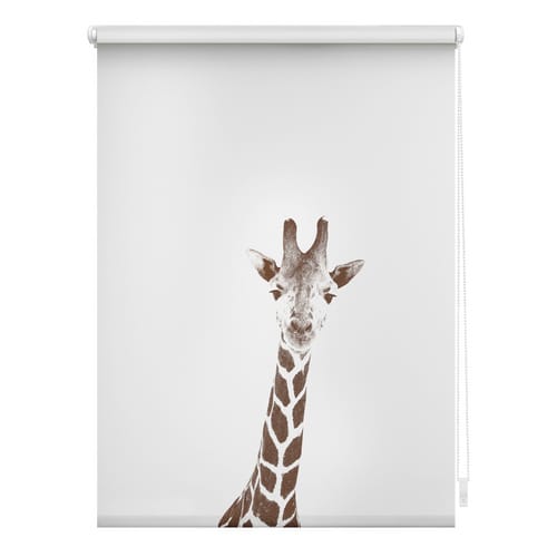 Lichtblick Rollo Klemmfix, ohne Bohren, blickdicht, Giraffe - Braun