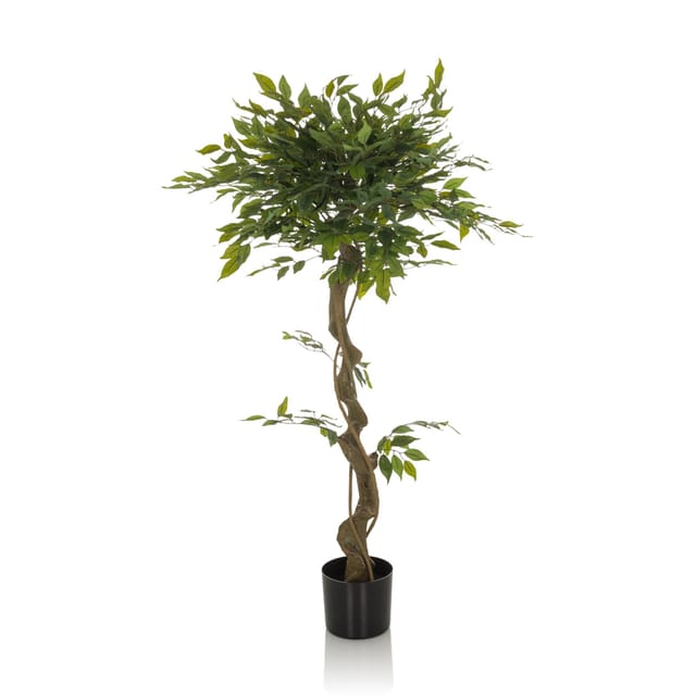 hjh OFFICE Kunstpflanze FICUS I Kunststoff, Stoff