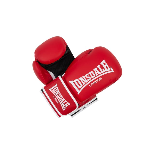 Lonsdale Boxhandschuhe aus Kunstleder ASHDON