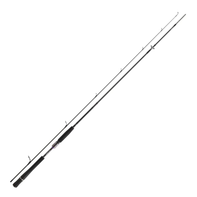 Daiwa Prorex AGS Spin 2,40m 30-70g Spinnrute